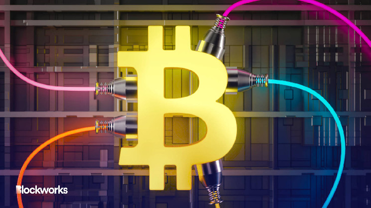 Bitcoin Player Shifts Focus From Miner Consulting to Hosting