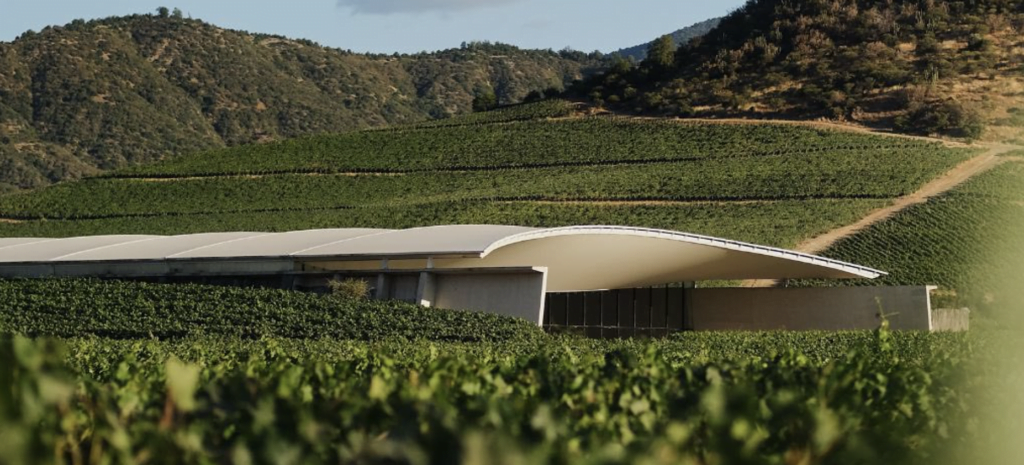 Tokenizing Wine: Chile’s VIK Takes the NFT Approach