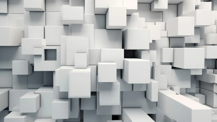 Strengthening Security Protocols in Blockchain Networks