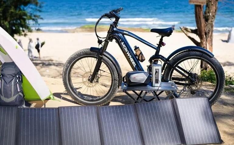 Pedal Assist Electric Bikes Gain Momentum Smart Urban Mobility Solution