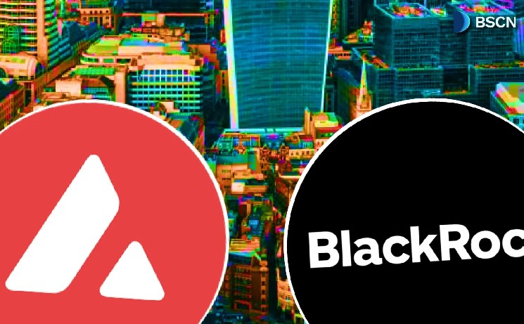 What is BlackRock’s BUIDL Fund on Avalanche AVAX?